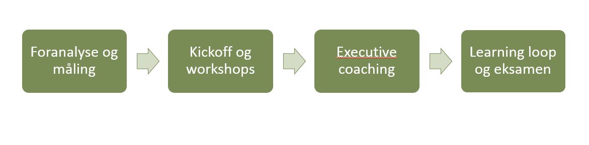 Proces – lederudvikling Lean ledership