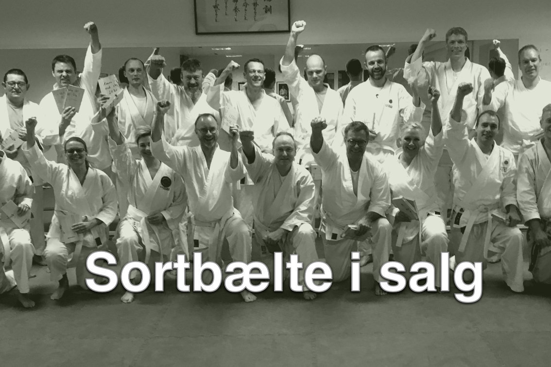 Sortbælte i salg_foredrag Foredrag Sortbælte i salg