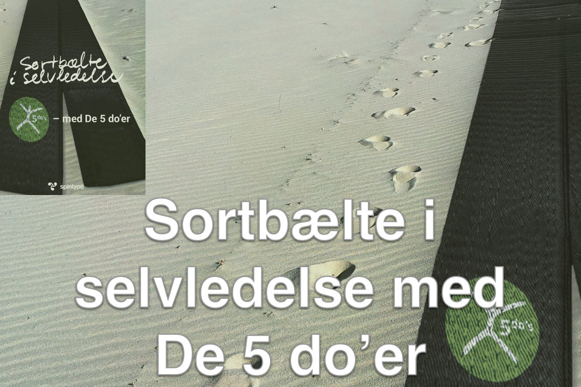 Sortbælte i selvledelse Foredrag Sortbælte i selvledelse med De 5 do'er