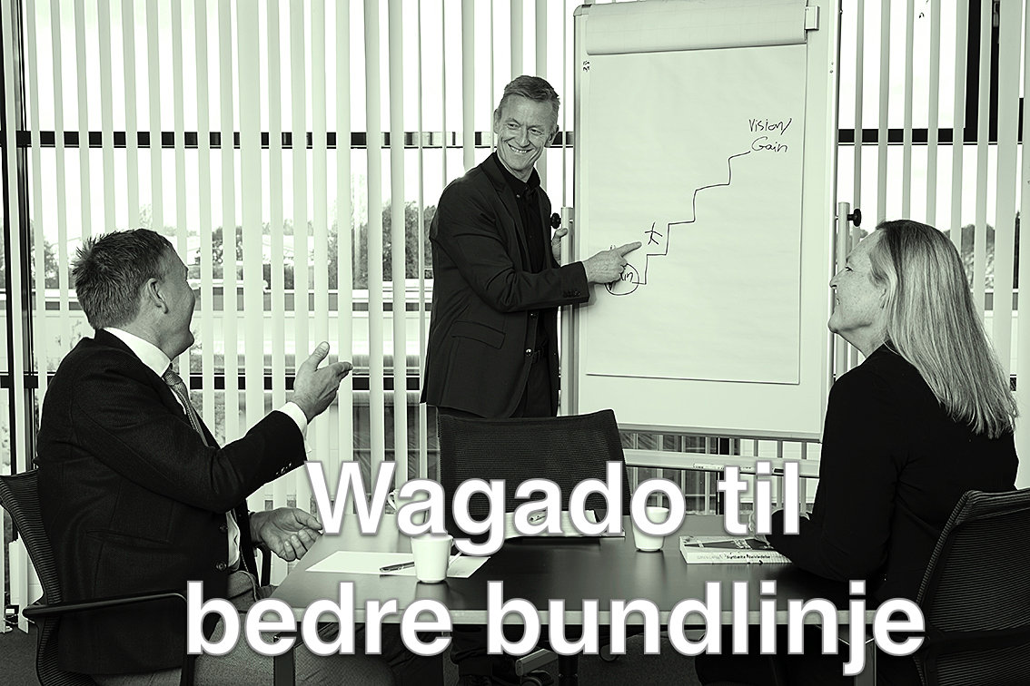 Wagado til bedre bundlinje Foredrag Wagado til bedre bundlinje