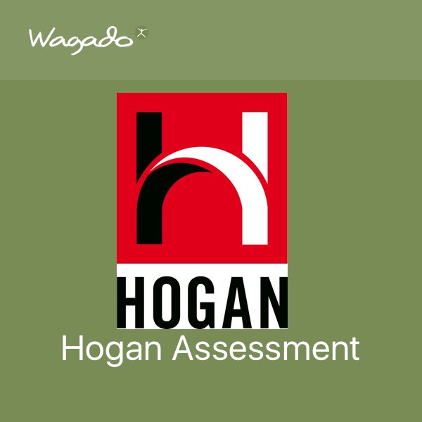 is tyktflydende at tilbagetrække Hogan Assessment -“Solsider”, “Skyggesider” og værdier
